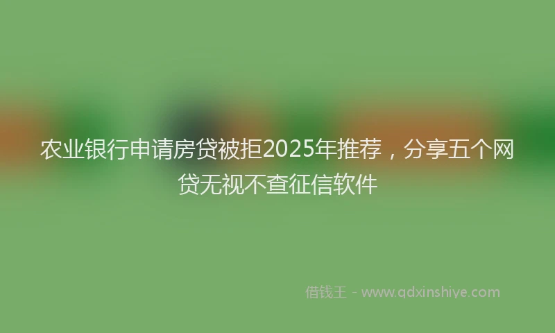 农业银行申请房贷被拒2025年推荐，分享五个网贷无视不查征信软件