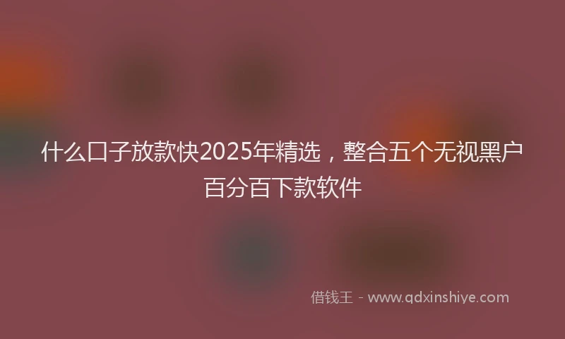 什么口子放款快2025年精选，整合五个无视黑户百分百下款软件