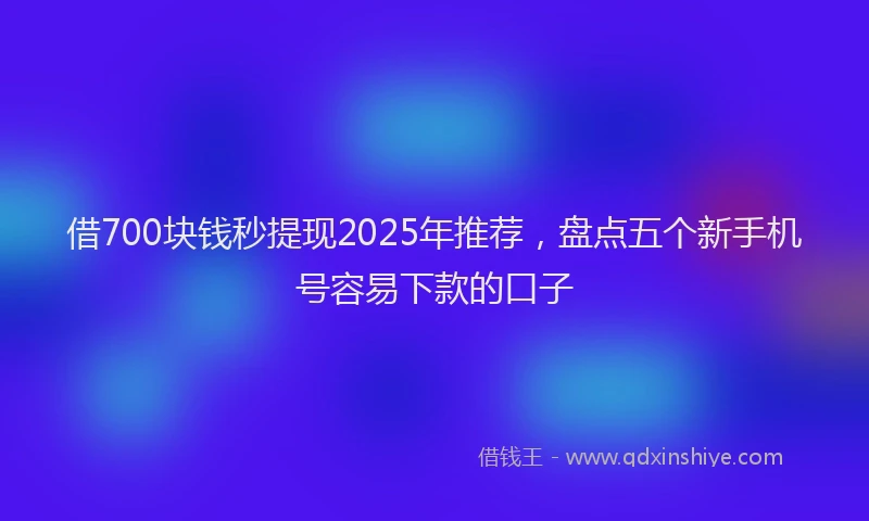 借700块钱秒提现2025年推荐，盘点五个新手机号容易下款的口子