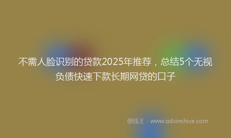 不需人脸识别的贷款2025年推荐，总结5个无视负债快速下款长期网贷的口子
