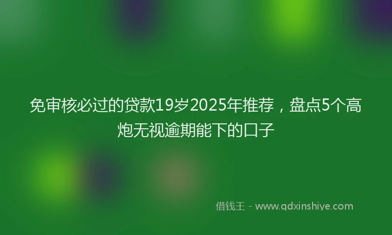 免审核必过的贷款19岁2025年推荐，盘点5个高炮无视逾期能下的口子