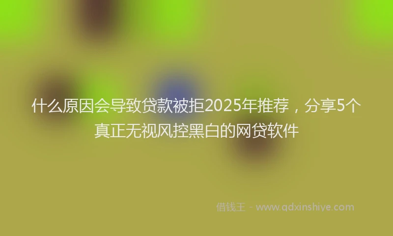 什么原因会导致贷款被拒2025年推荐，分享5个真正无视风控黑白的网贷软件