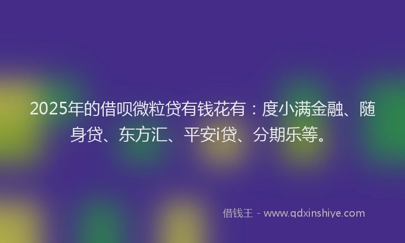 2025年的借呗微粒贷有钱花有：度小满金融、随身贷、东方汇、平安i贷、分期乐等。