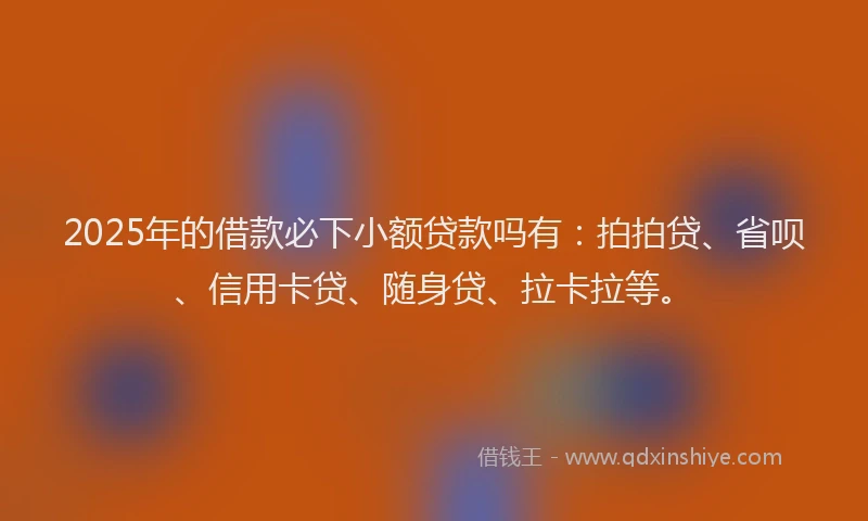 2025年的借款必下小额贷款吗有：拍拍贷、省呗、信用卡贷、随身贷、拉卡拉等。