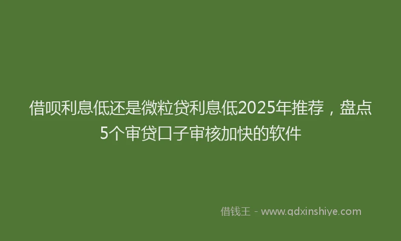借呗利息低还是微粒贷利息低2025年推荐，盘点5个审贷口子审核加快的软件