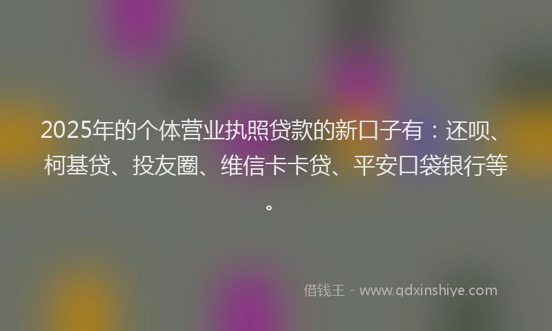 2025年的个体营业执照贷款的新口子有：还呗、柯基贷、投友圈、维信卡卡贷、平安口袋银行等。