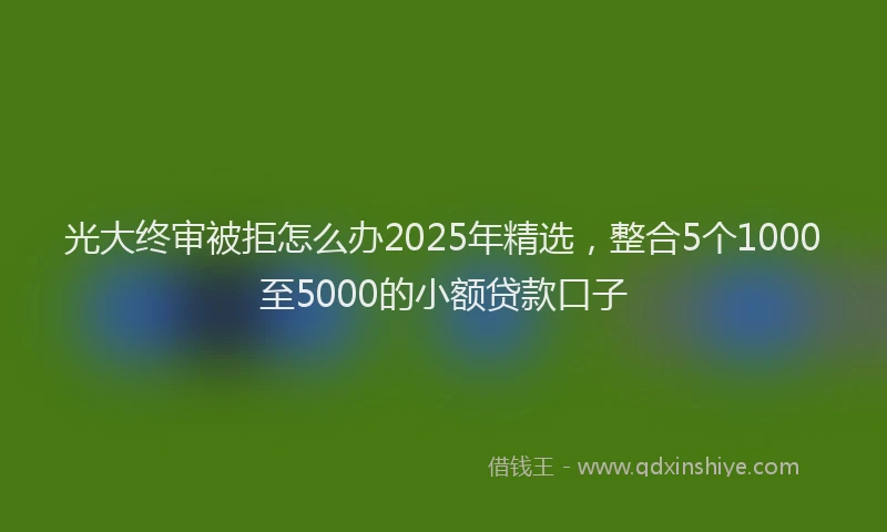 光大终审被拒怎么办2025年精选，整合5个1000至5000的小额贷款口子