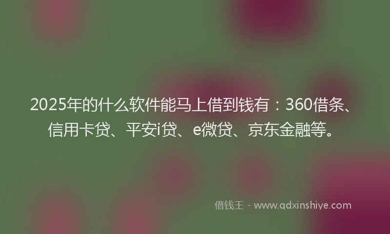 2025年的什么软件能马上借到钱有：360借条、信用卡贷、平安i贷、e微贷、京东金融等。