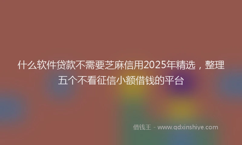 什么软件贷款不需要芝麻信用2025年精选，整理五个不看征信小额借钱的平台
