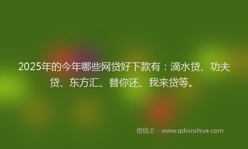 2025年的今年哪些网贷好下款有：滴水贷、功夫贷、东方汇、替你还、我来贷等。