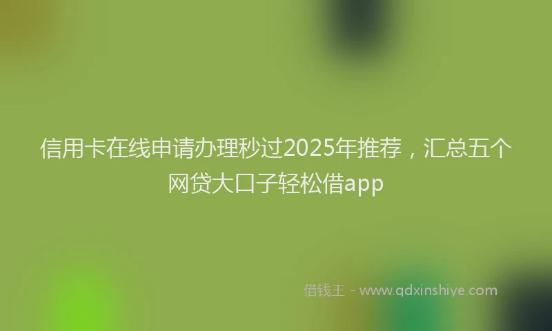 信用卡在线申请办理秒过2025年推荐，汇总五个网贷大口子轻松借app