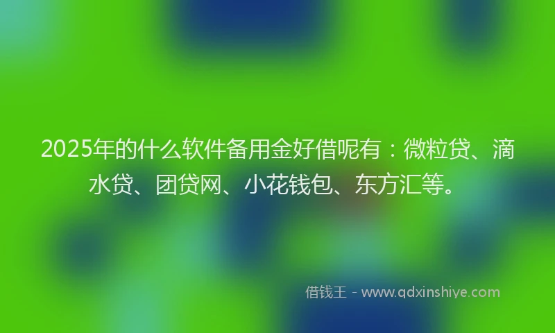 2025年的什么软件备用金好借呢有：微粒贷、滴水贷、团贷网、小花钱包、东方汇等。