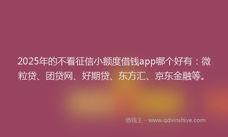 2025年的不看征信小额度借钱app哪个好有：微粒贷、团贷网、好期贷、东方汇、京东金融等。