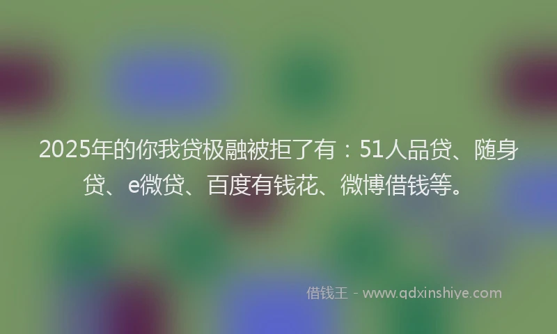 2025年的你我贷极融被拒了有：51人品贷、随身贷、e微贷、百度有钱花、微博借钱等。
