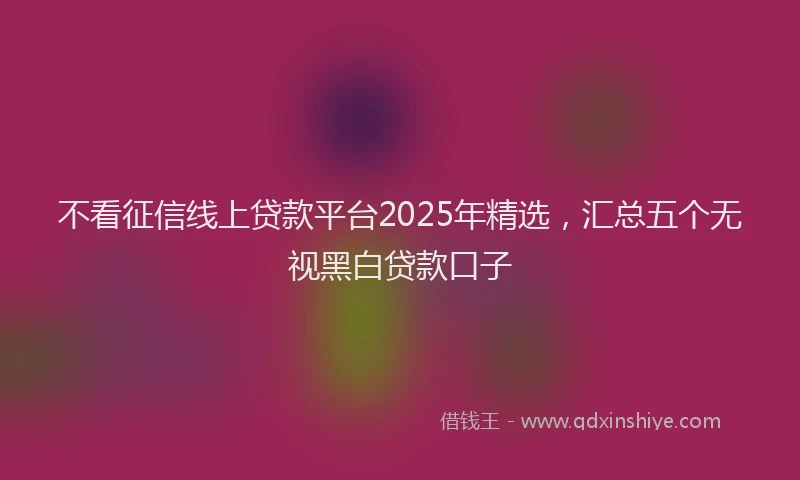 不看征信线上贷款平台2025年精选，汇总五个无视黑白贷款口子