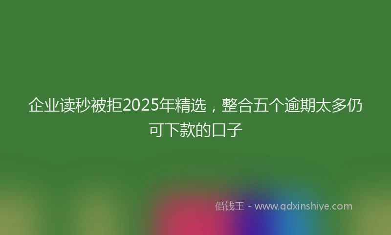 企业读秒被拒2025年精选，整合五个逾期太多仍可下款的口子