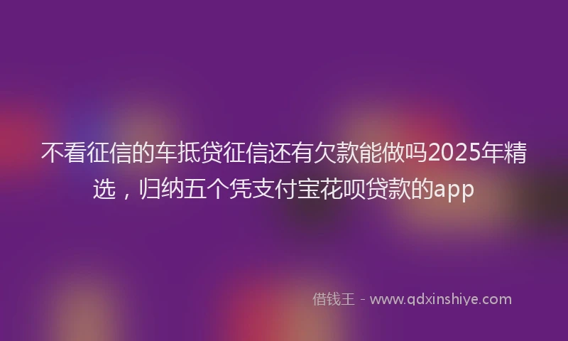 不看征信的车抵贷征信还有欠款能做吗2025年精选，归纳五个凭支付宝花呗贷款的app