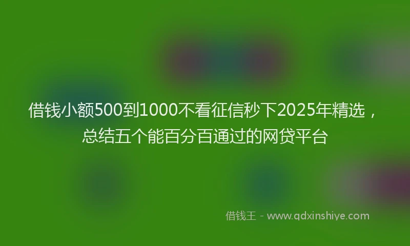 借钱小额500到1000不看征信秒下2025年精选，总结五个能百分百通过的网贷平台