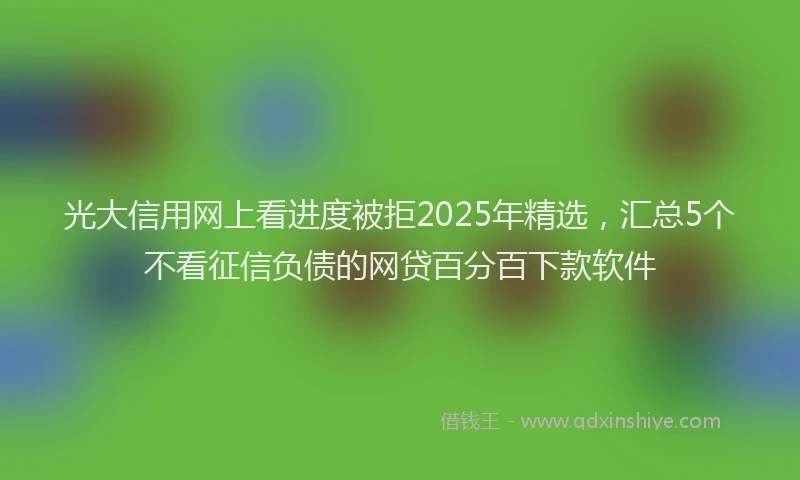 光大信用网上看进度被拒2025年精选，汇总5个不看征信负债的网贷百分百下款软件