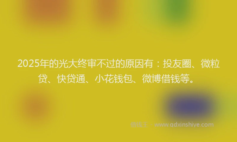 2025年的光大终审不过的原因有：投友圈、微粒贷、快贷通、小花钱包、微博借钱等。