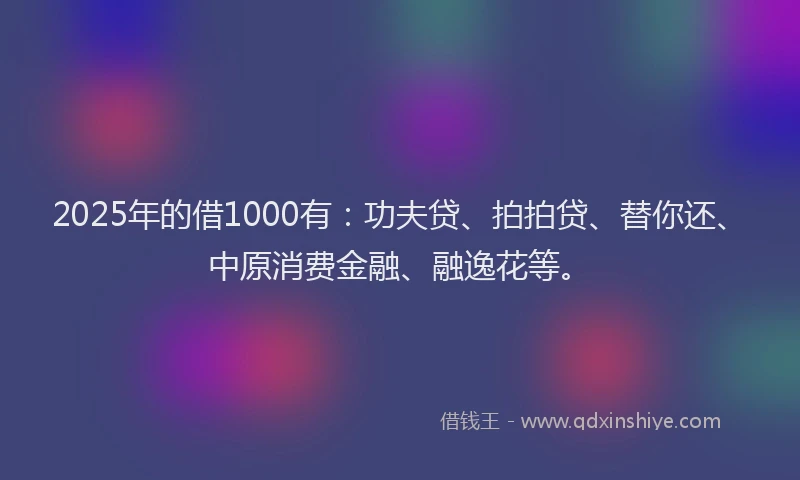 2025年的借1000有：功夫贷、拍拍贷、替你还、中原消费金融、融逸花等。
