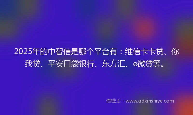 2025年的中智信是哪个平台有：维信卡卡贷、你我贷、平安口袋银行、东方汇、e微贷等。