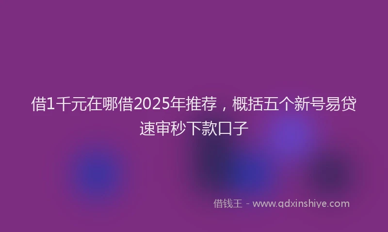 借1千元在哪借2025年推荐，概括五个新号易贷速审秒下款口子