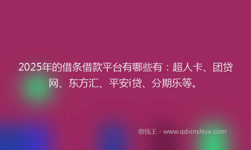 2025年的借条借款平台有哪些有：超人卡、团贷网、东方汇、平安i贷、分期乐等。
