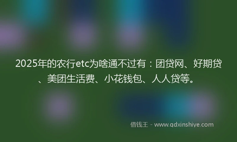 2025年的农行etc为啥通不过有：团贷网、好期贷、美团生活费、小花钱包、人人贷等。