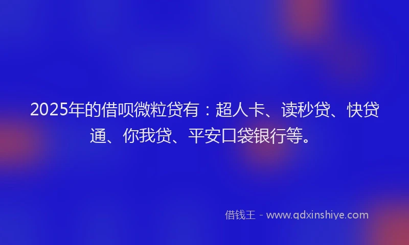 2025年的借呗微粒贷有：超人卡、读秒贷、快贷通、你我贷、平安口袋银行等。