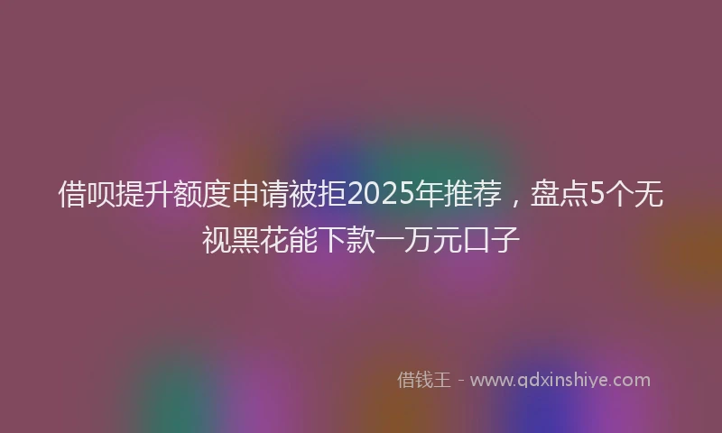 借呗提升额度申请被拒2025年推荐，盘点5个无视黑花能下款一万元口子