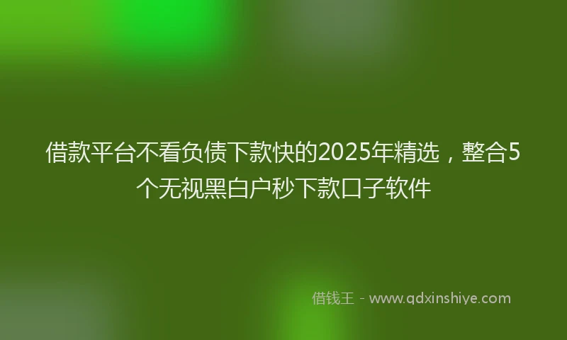 借款平台不看负债下款快的2025年精选，整合5个无视黑白户秒下款口子软件