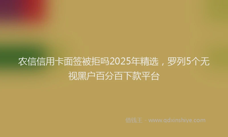 农信信用卡面签被拒吗2025年精选，罗列5个无视黑户百分百下款平台