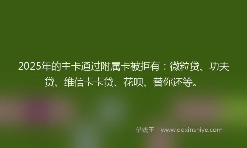 2025年的主卡通过附属卡被拒有：微粒贷、功夫贷、维信卡卡贷、花呗、替你还等。