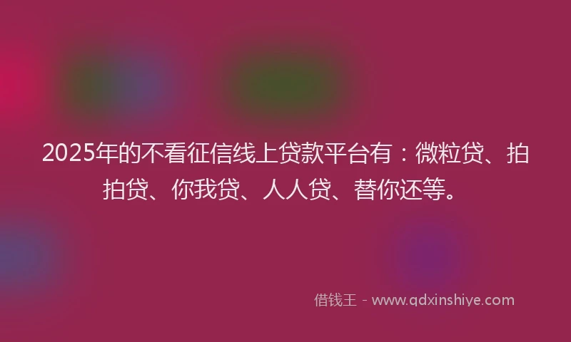 2025年的不看征信线上贷款平台有：微粒贷、拍拍贷、你我贷、人人贷、替你还等。