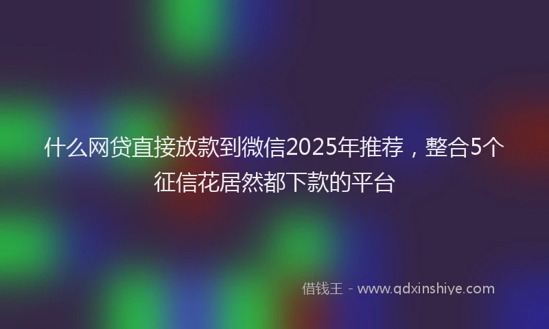 什么网贷直接放款到微信2025年推荐，整合5个征信花居然都下款的平台