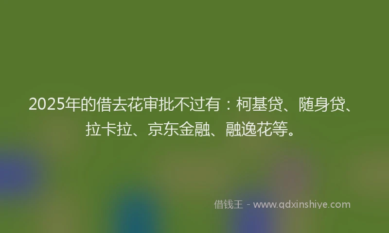 2025年的借去花审批不过有：柯基贷、随身贷、拉卡拉、京东金融、融逸花等。