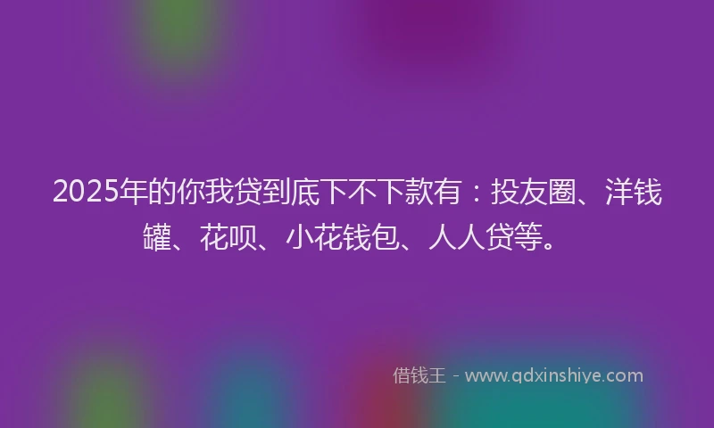 2025年的你我贷到底下不下款有：投友圈、洋钱罐、花呗、小花钱包、人人贷等。