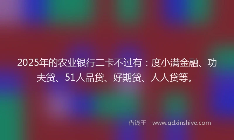 2025年的农业银行二卡不过有：度小满金融、功夫贷、51人品贷、好期贷、人人贷等。