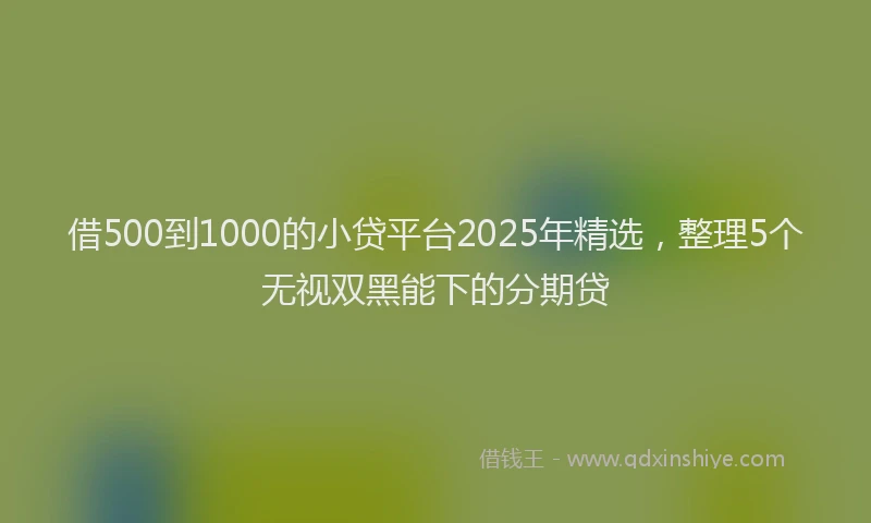 借500到1000的小贷平台2025年精选，整理5个无视双黑能下的分期贷