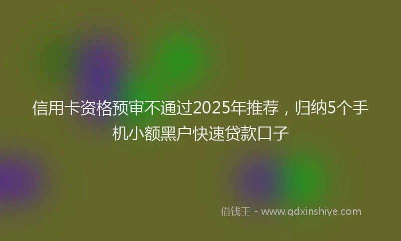 信用卡资格预审不通过2025年推荐，归纳5个手机小额黑户快速贷款口子