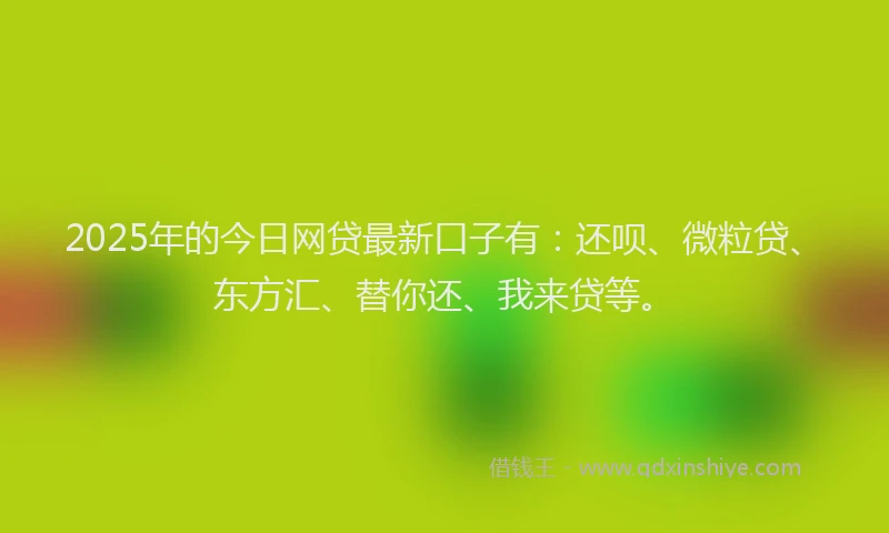 2025年的今日网贷最新口子有：还呗、微粒贷、东方汇、替你还、我来贷等。