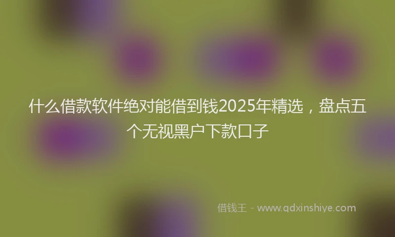 什么借款软件绝对能借到钱2025年精选，盘点五个无视黑户下款口子