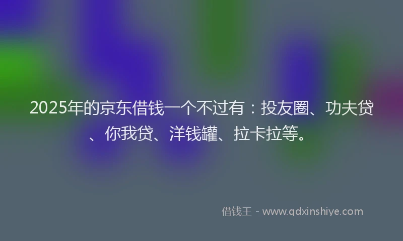 2025年的京东借钱一个不过有：投友圈、功夫贷、你我贷、洋钱罐、拉卡拉等。