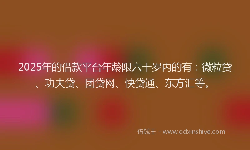 2025年的借款平台年龄限六十岁内的有：微粒贷、功夫贷、团贷网、快贷通、东方汇等。