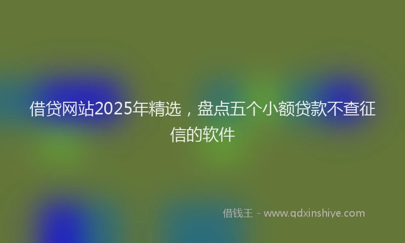 借贷网站2025年精选，盘点五个小额贷款不查征信的软件