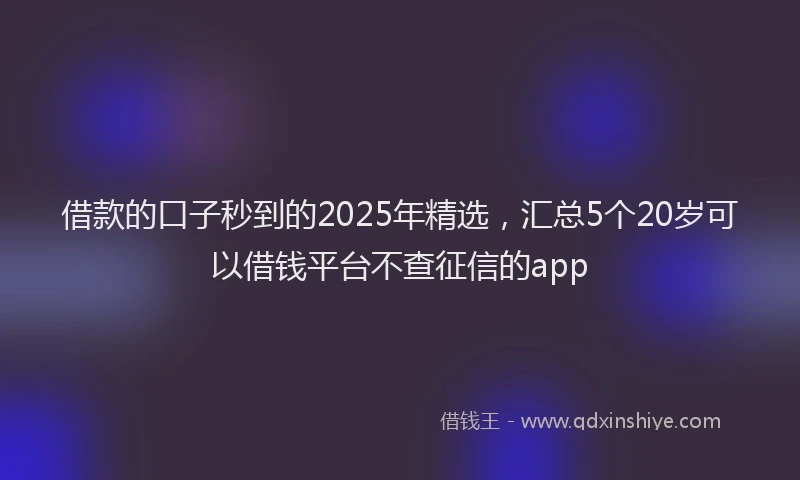 借款的口子秒到的2025年精选，汇总5个20岁可以借钱平台不查征信的app