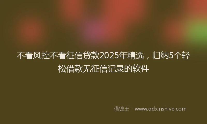 不看风控不看征信贷款2025年精选，归纳5个轻松借款无征信记录的软件