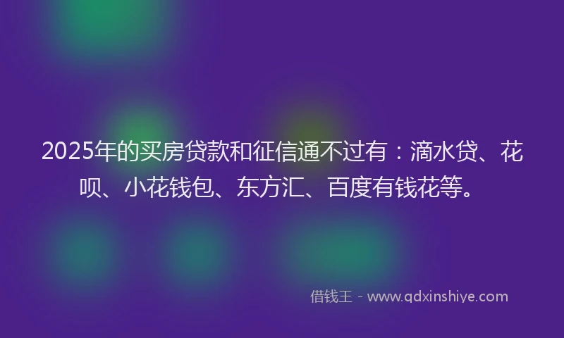 2025年的买房贷款和征信通不过有：滴水贷、花呗、小花钱包、东方汇、百度有钱花等。