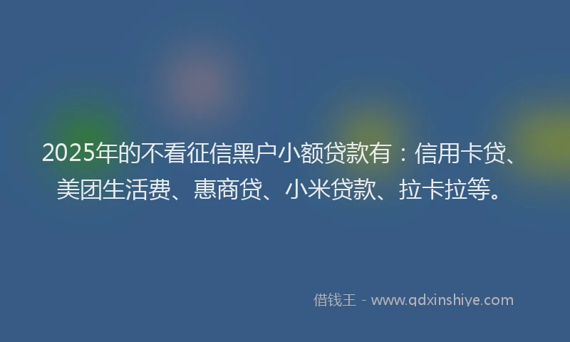 2025年的不看征信黑户小额贷款有：信用卡贷、美团生活费、惠商贷、小米贷款、拉卡拉等。